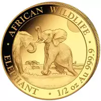 Somalijski Słoń 1/2 uncji 2024 - złota moneta