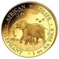 Somalijski Słoń 1 uncja 2021 - złota moneta