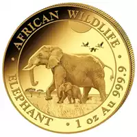 Somalijski Słoń 1 uncja 2022 - złota moneta