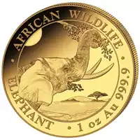 Somalijski Słoń 1 uncja 2023 - złota moneta