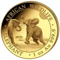 Somalijski Słoń 1 uncja 2024 - złota moneta