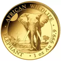 Somalijski Słoń 1 uncja 2025 - złota moneta