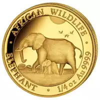 Somalijski Słoń 1/4 uncji 2022 - złota moneta