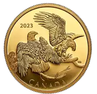 The Striking Bald Eagle 200 CAD Złoto 2023 Proof - złota moneta