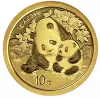 Chińska Panda 1 gram 2024 - złota moneta