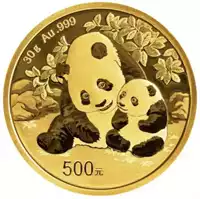 Chińska Panda 30 gramów 2024 - złota moneta