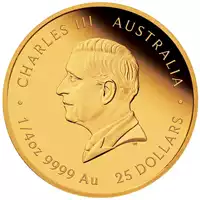 Australijski Lunar - Rok Węża 2025 1/4 uncji Proof - złota moneta