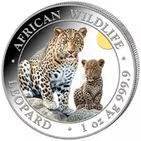 African Wildlife: Leopard kolorowany 1 uncja 2024 - srebrna moneta