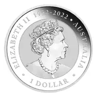 Australian Brumby 1 uncja 2023 - srebrna moneta