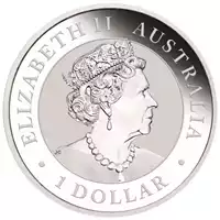 Australijski Emu 1 uncja 2019 - srebrna moneta