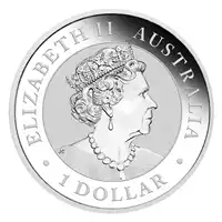 Australijski Emu 1 uncja 2020 - srebrna moneta