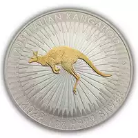 Australijski Kangur 1 uncja 2022 Gold Selective - srebrna moneta
