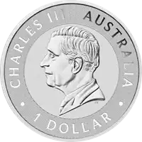 Australijski Kangur zestaw 25 x 1 uncja 2024 - srebrna moneta