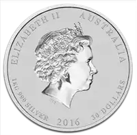 Australijski Lunar: Rok Małpy 2016 1 kilogram - srebrna moneta