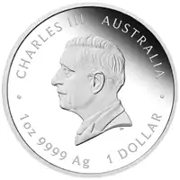 Australijski Lunar: Rok Węża 2025 1 uncja Proof - srebrna moneta