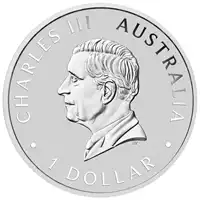 Australijski Orzeł Wedge – Tailed Eagle 1 uncja 2024 - srebrna moneta