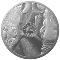 Big Five: Nosorożec 1 uncja 2022 - srebrna moneta