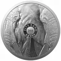 Big Five: Słoń 1 uncja 2021 - srebrna moneta