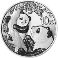 Chińska Panda 30 gramów 2021 - srebrna moneta