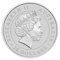 Koala 1 kilogram 2012 - srebrna moneta