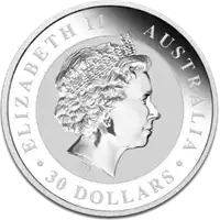 Koala 1 kilogram 2013 - srebrna moneta