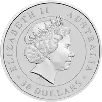 Koala 1 kilogram - srebrna moneta