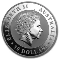 Koala 10 uncji 2013 - srebrna moneta