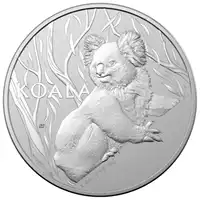 Koala 1 uncja 2024 - srebrna moneta