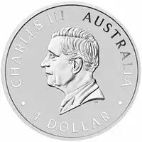 Łabędź Australijski 1 uncja 2024 - srebrna moneta