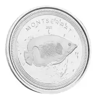 Montserrat Blue Girdled Angelfish 1 uncja 2021 - srebrna moneta