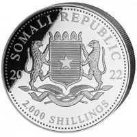 Somalijski Słoń 1 kilogram 2022 - srebrna moneta