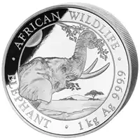 Somalijski Słoń 1 kilogram 2023 - srebrna moneta
