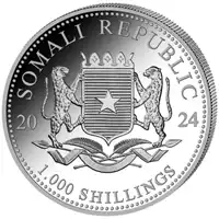 Somalijski Słoń 10 uncji 2024 - srebrna moneta