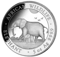 Somalijski Słoń 5 uncji 2022 - srebrna moneta