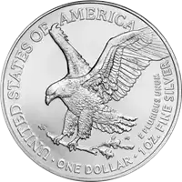 Srebrny Amerykański Orzeł zestaw 100 x 1 uncja 2024 - srebrna moneta